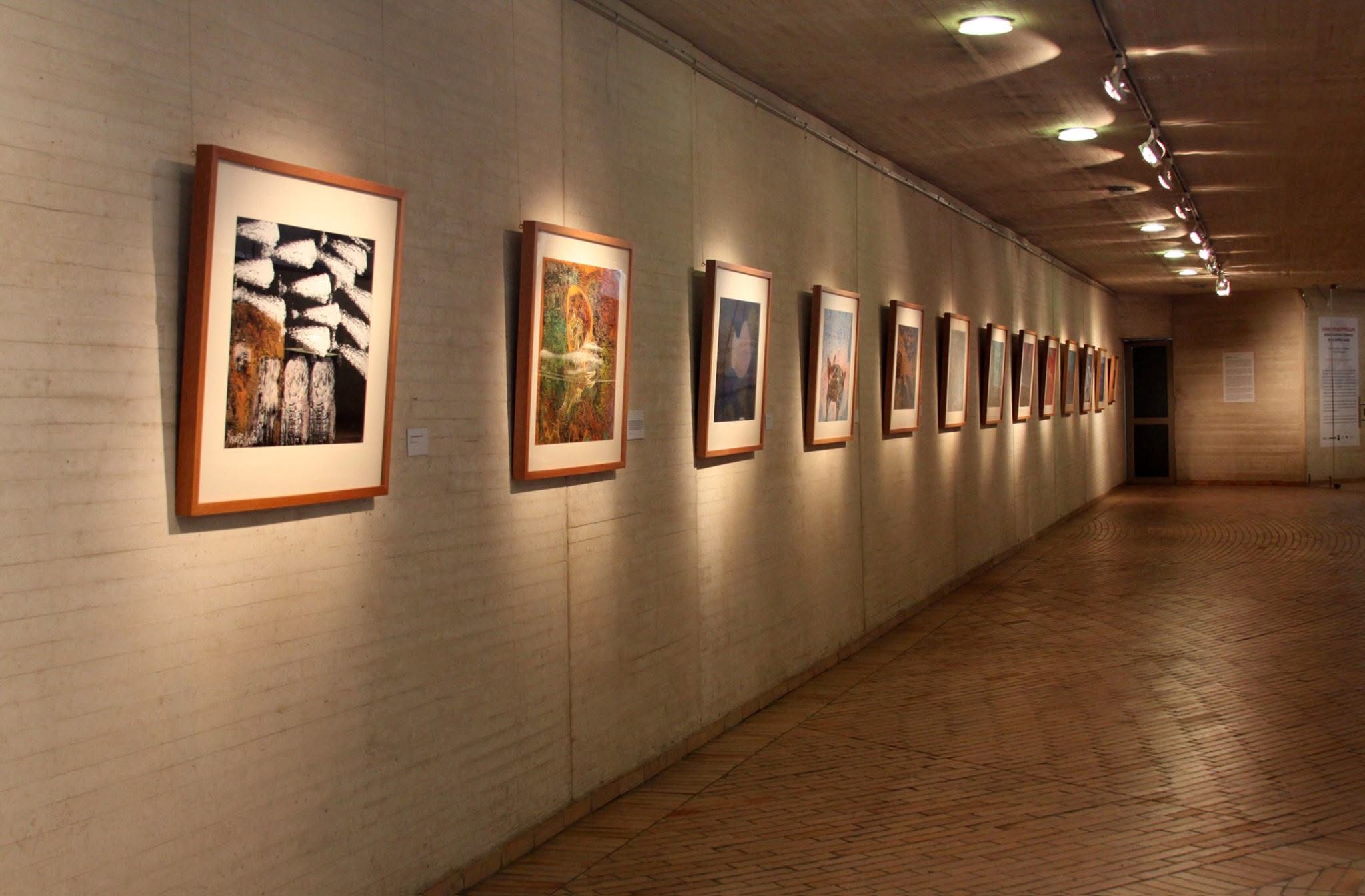 Sala de exposición con obra de Kraeppellin